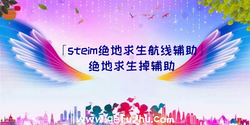 「steim绝地求生航线辅助」|绝地求生掉辅助